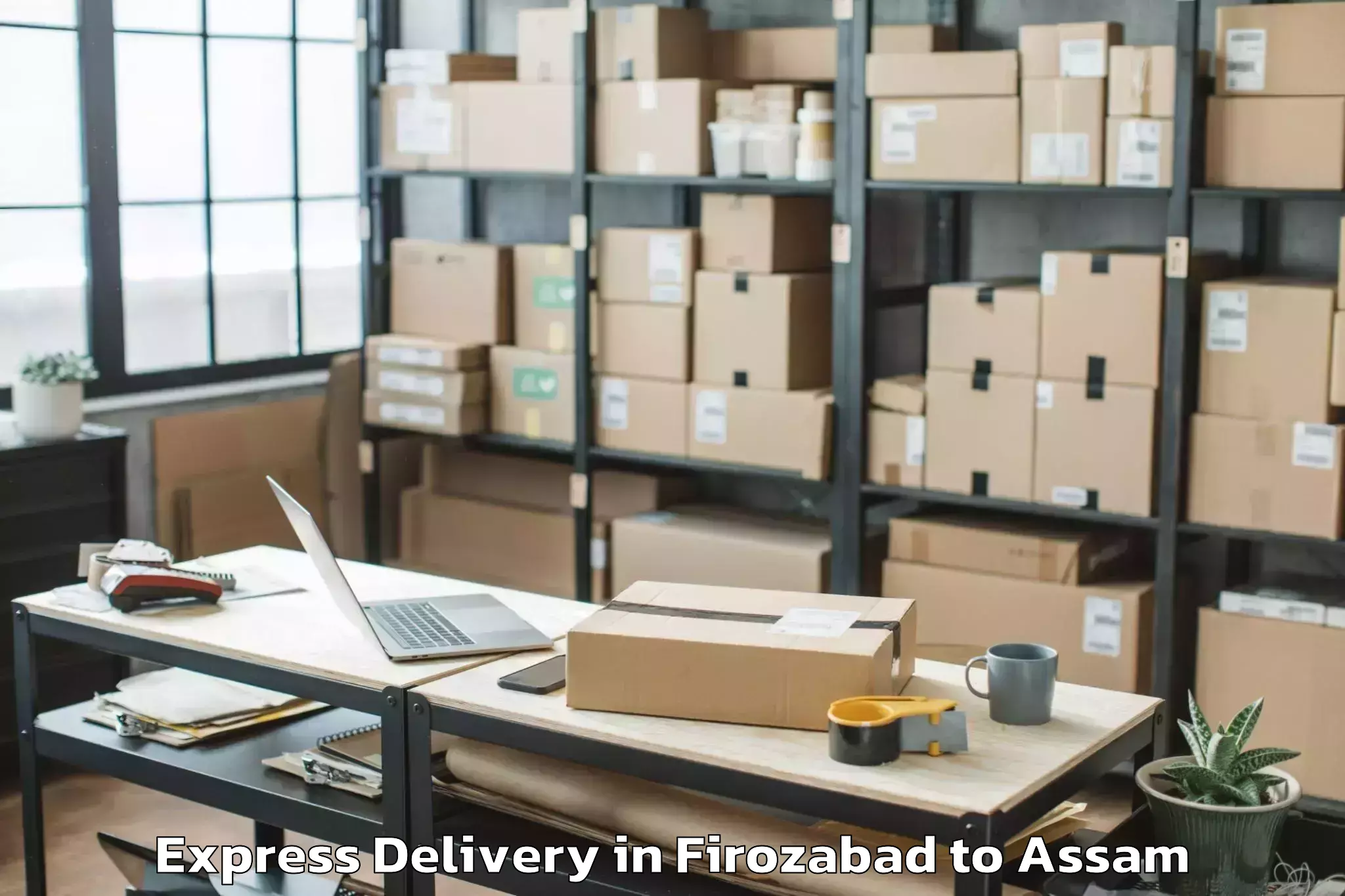 Reliable Firozabad to Dibrugarh University Express Delivery